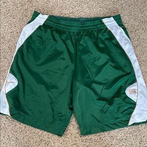 Lebron Nike Basketball Shorts.